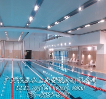 Standard swimming pool